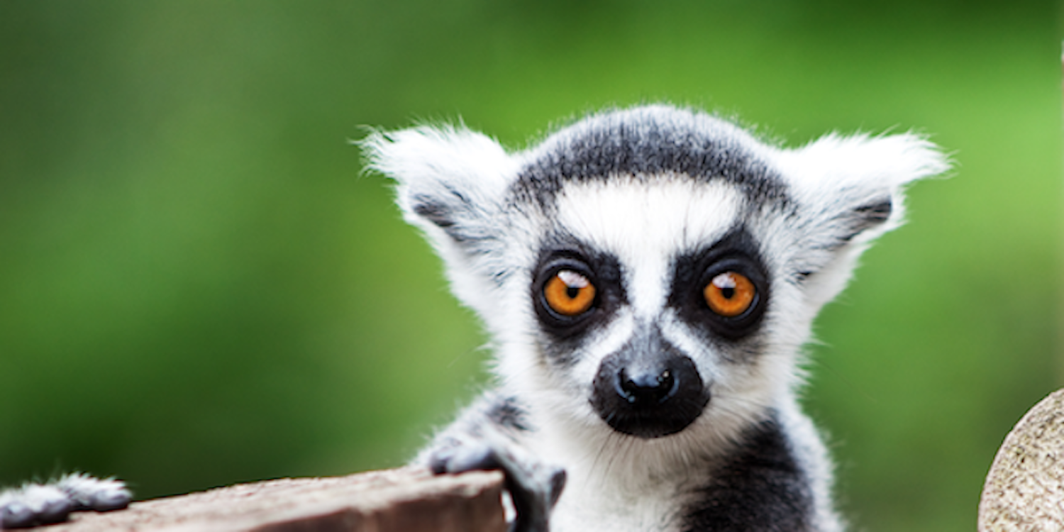 How can we cultivate curiosity in our youth, our students, and our workers?