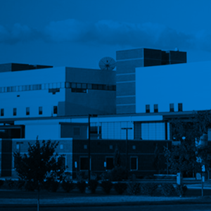 ELI-FT-Nov2019 no text-1-1