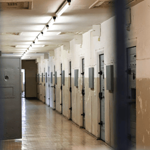 Screen Shot 2021-10-11 at 9.57.18 AM