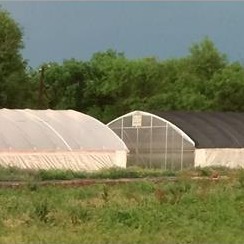 tecklenburg_farm_2019